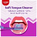 614qGp0L+ZL._SL1000_.webp