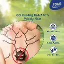 -original-imahyfz58u4egsks.webp