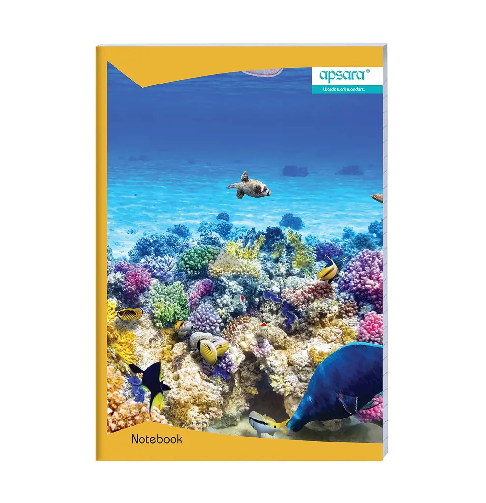 813otNlU-gL._SL1500_.webp