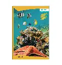 81iyk-DbvwL._SL1500_.webp