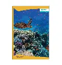 81SHo31cl0L._SL1500_.webp