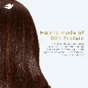 61QX9+3jjcL._SL1000_ (1).webp