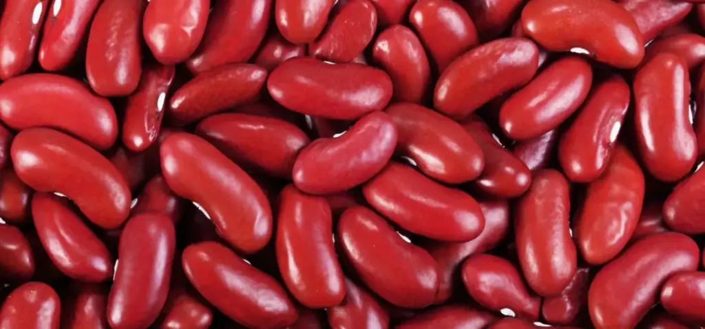Red Rajma – The Protein-Packed Powerhouse  (1kg)