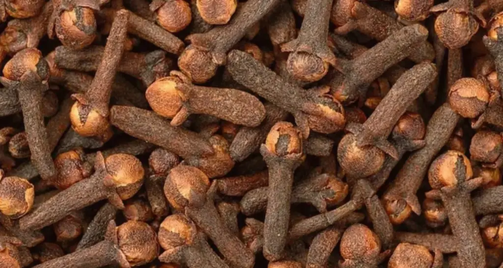 Laung – The Aromatic Spice of Wellness