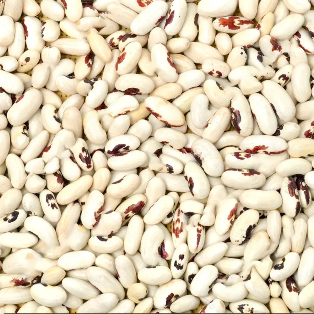 White Rajma – A Nutritious and Creamy Kidney Bean