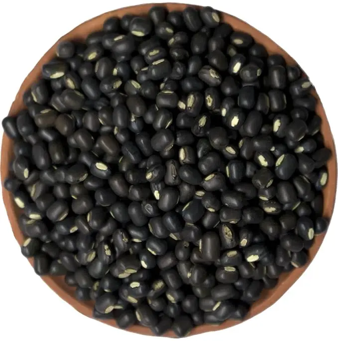 Premium Urad Dal Sabut – Whole Black Gram for Authentic Flavors