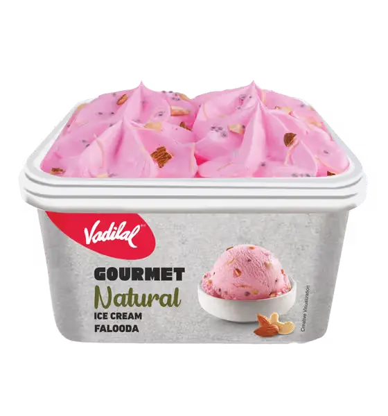 Vadilal Gourmet Ice Cream Tub of Pure Indulgence  