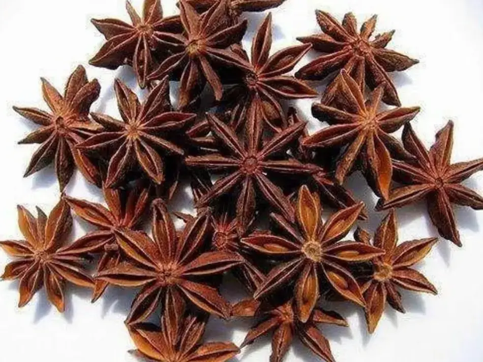 Organic Bites Star Anise (Chakra Phool) – Whole Spice for Rich Aroma & Flavor (50g)