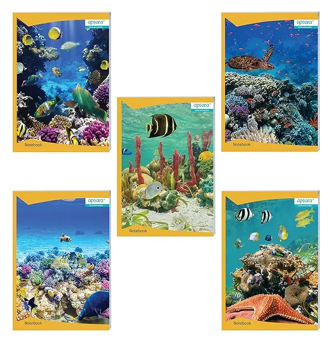 Apsara A4 Size Long Notebook  400 Pages  Plain Unruled  29.7 x 21 cm Approx  56 GSM  Soft Cover  Ideal for Students, Professionals & Creative Use 