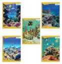 Apsara A4 Size Long Notebook  400 Pages  Plain Unruled  29.7 x 21 cm Approx  56 GSM  Soft Cover  Ideal for Students, Professionals & Creative Use 