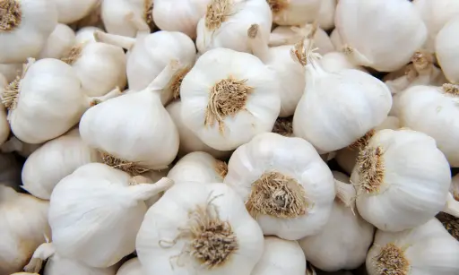 Garlic Kingdom – Fresh, Flavorful, and Packed with Goodness