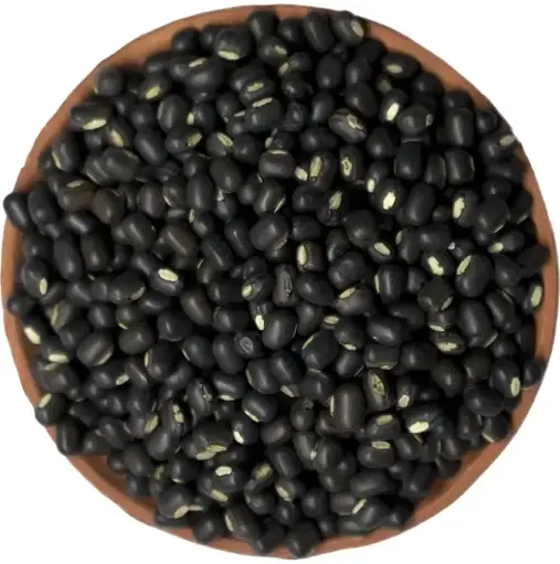 Premium Urad Dal Sabut – Whole Black Gram for Authentic Flavors