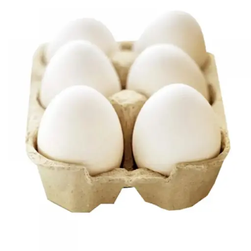  Egg - Nature’s Perfect Package 