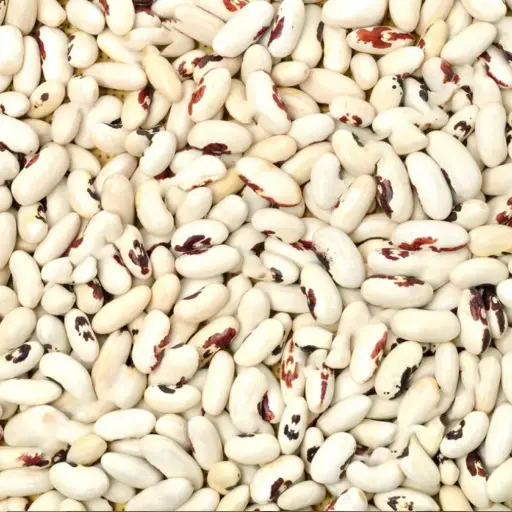 White Rajma – A Nutritious and Creamy Kidney Bean